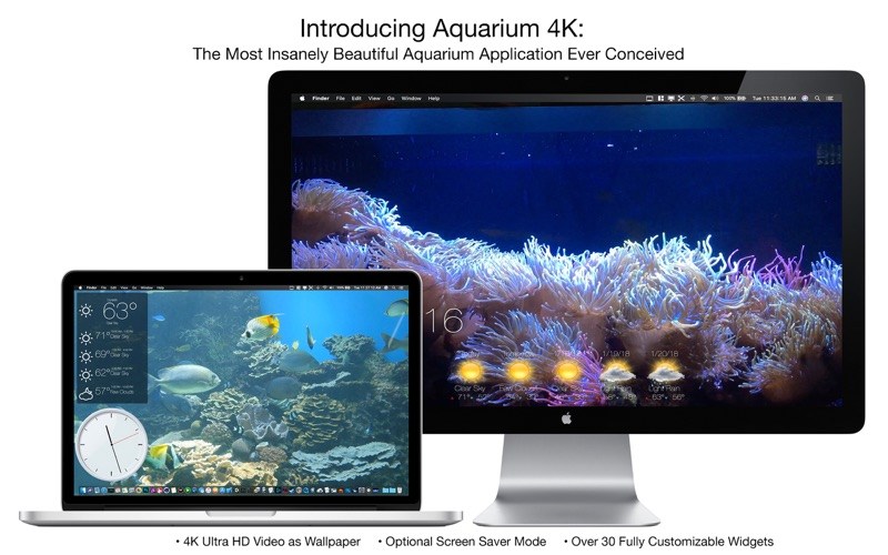 Aquarium 4K – Live Wallpaper for Mac Os download