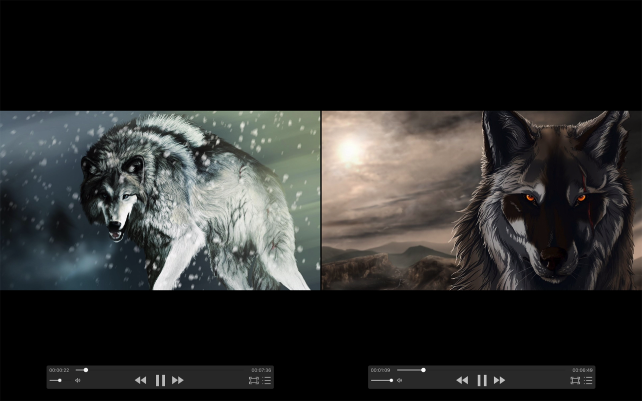 zFuse-Pro for macs download